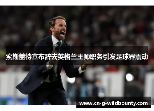 索斯盖特宣布辞去英格兰主帅职务引发足球界震动