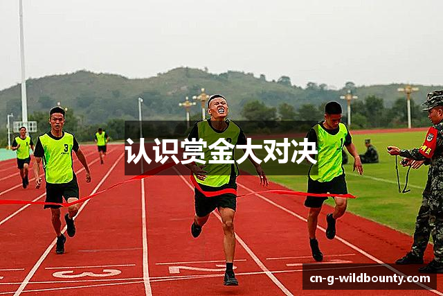 认识赏金大对决